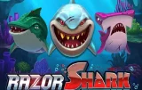 Spēlējiet Razor Shark NV kazino